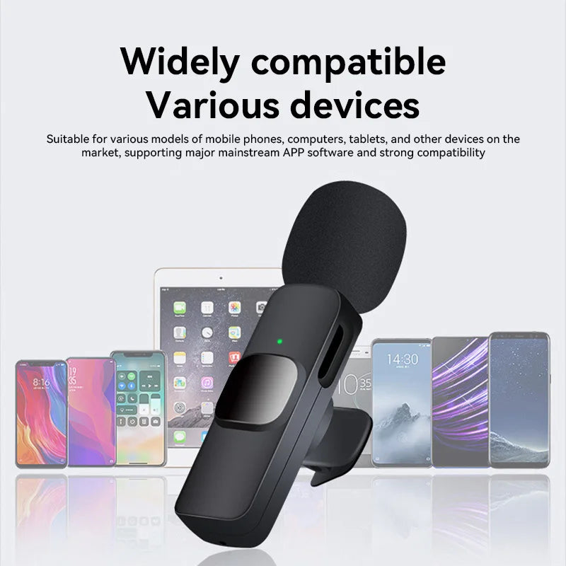 Mini Wireless Microphone