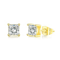 Square Zircon Stud Earrings for Men & Women